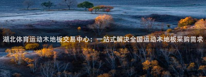 64体育：湖北体育运动木地板交易中心：一站式解决全国运动木地板采购需求