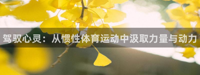 64体育：驾驭心灵：从惯性体育运动中汲取力量与动力