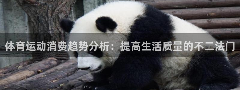 64体育：体育运动消费趋势分析：提高生活质量的不二法门