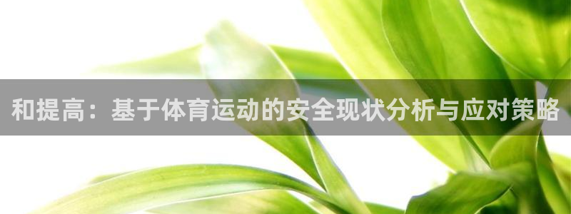 64体育：和提高：基于体育运动的安全现状分析与应对策略