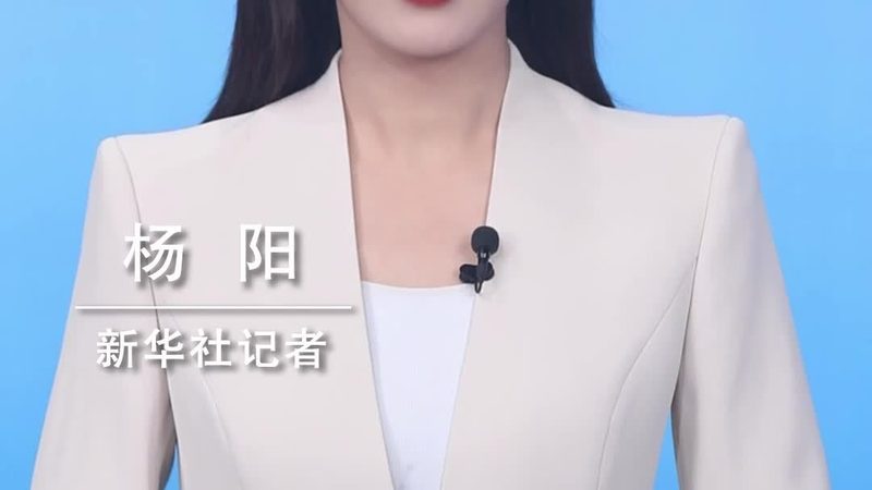 政务数据湖安全策略应用：构建数据安全的坚固防线